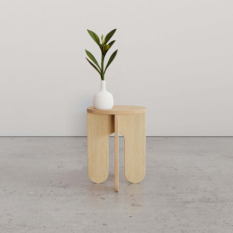 How to Assemble Side Table with a potted plant on top, showcasing a stylish wooden design.