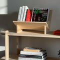 Stylish book and vinyl record holder displaying books and magazines on a modern wooden shelf.