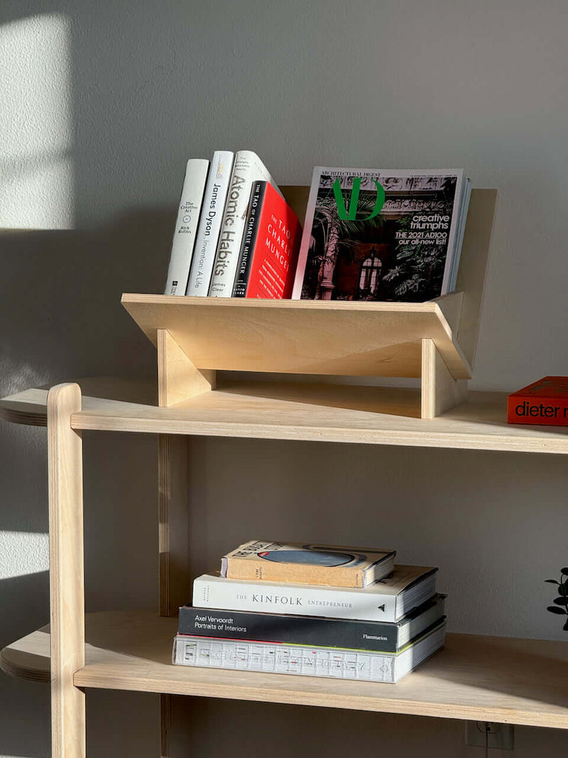 Stylish book and vinyl record holder displaying books and magazines on a modern wooden shelf.
