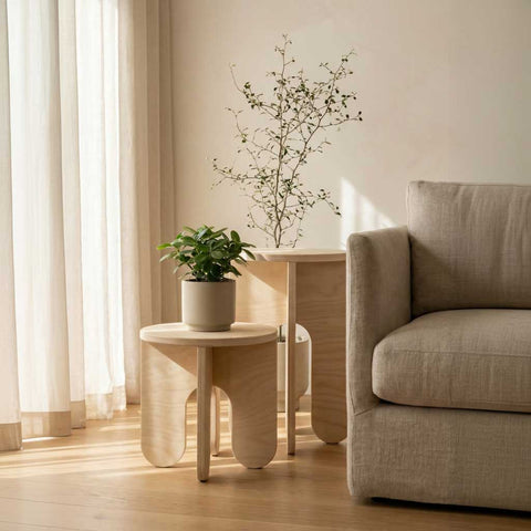 Mini bundle living room sunlight