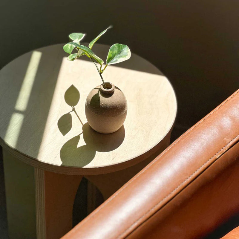 A small potted plant in a brown vase on a wooden side table, with sunlight casting shadows.