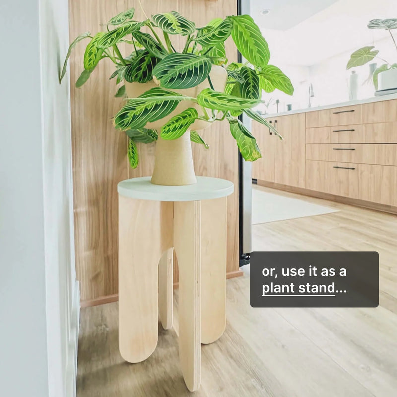 Stylish wooden plant stand holding a potted plant, perfect for modern home decor.