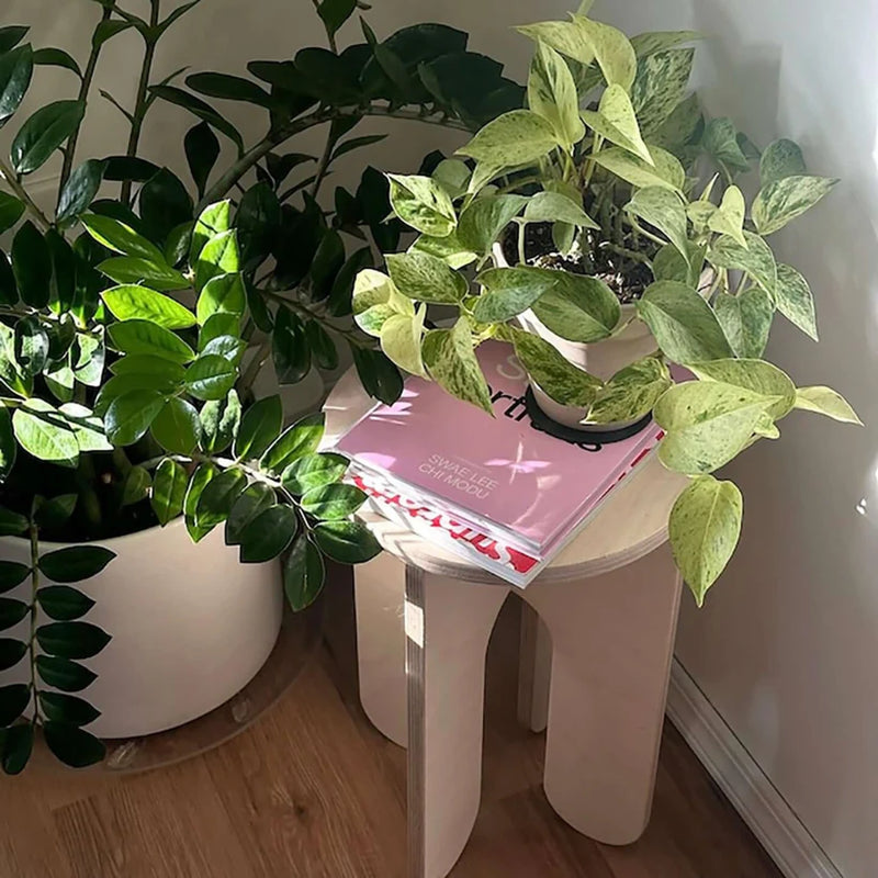 Indoor plants next to a modern wooden side table with a pink book on it, showcasing a stylish home decor.